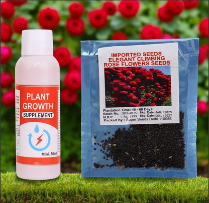 Climbing Rose Seeds 🌹60+ Multicolour seeds 🌹