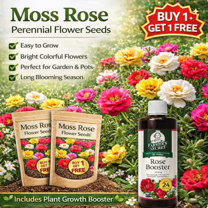 💫🌸BUY 1 GET 1 FREE | Moss Rose🌿Perennial Flower Seeds With Free-Plant Growth Supplement