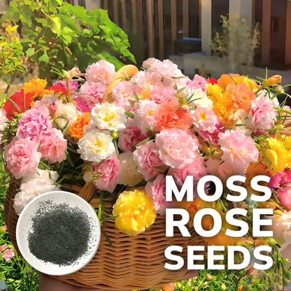 💫🌸BUY 1 GET 1 FREE | Moss Rose🌿Perennial Flower Seeds With Free-Plant Growth Supplement